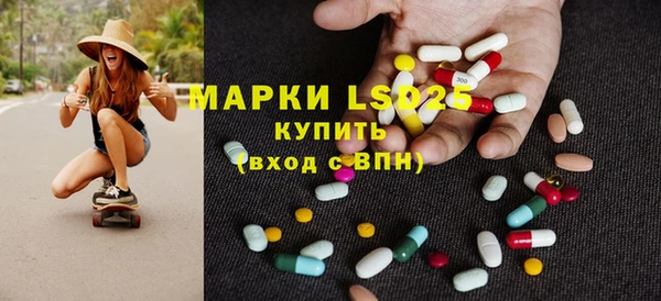spice Кирсанов