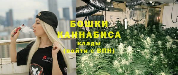 дурь Пестово