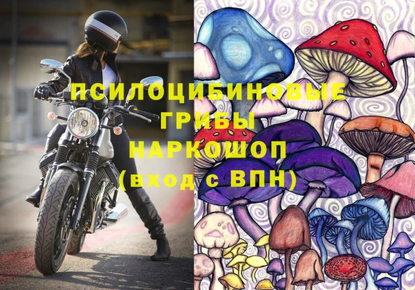 дурь Пестово