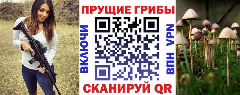 Галлюциногенные грибы GOLDEN TEACHER  даркнет сайт  Руза 